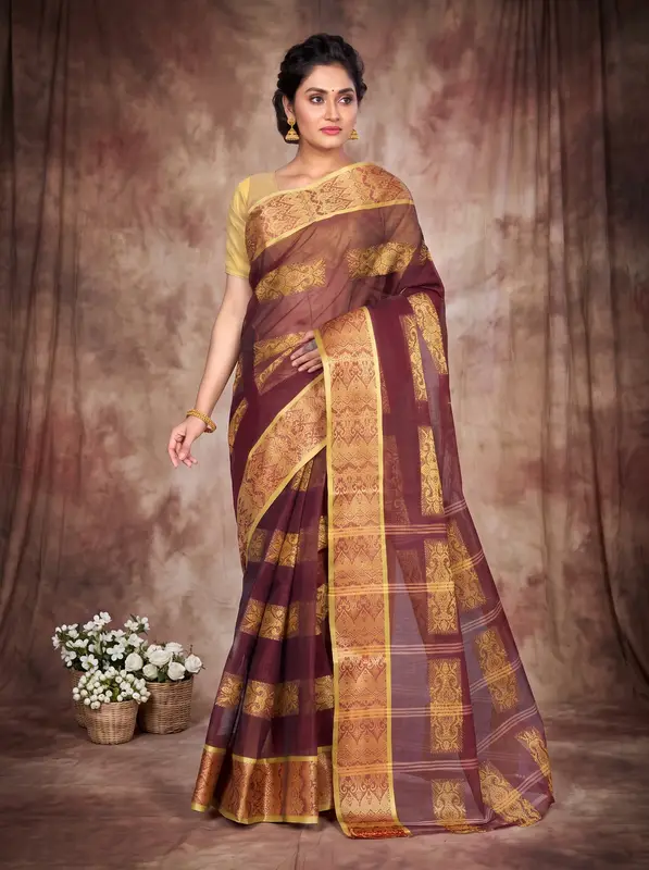 DipDiya Pure Cotton Brown Strip Suparna Masterfully Woven Tant Sarees
