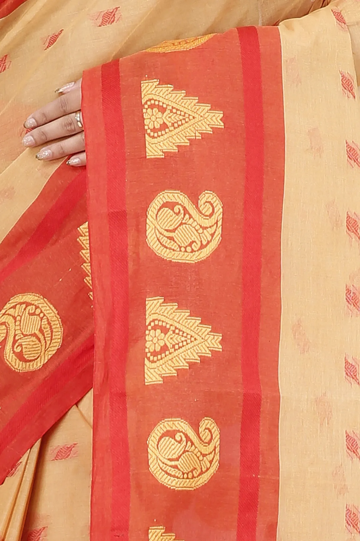 DipDiya Pure Cotton Light Yellow Emma Border Heritage of Bengal Tant Sarees
